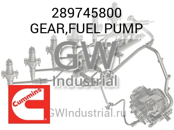 GEAR,FUEL PUMP — 289745800