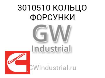 КОЛЬЦО ФОРСУНКИ