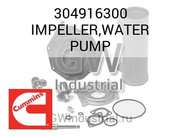 IMPELLER,WATER PUMP — 304916300