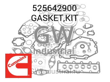 GASKET,KIT — 525642900