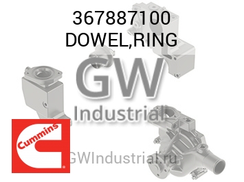 DOWEL,RING — 367887100