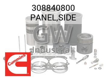 PANEL,SIDE — 308840800
