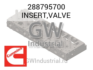 INSERT,VALVE — 288795700