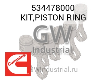 KIT,PISTON RING — 534478000