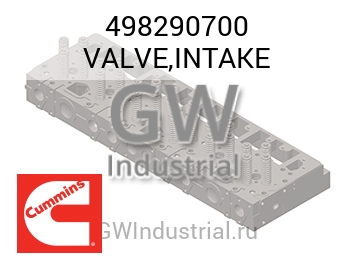 VALVE,INTAKE — 498290700