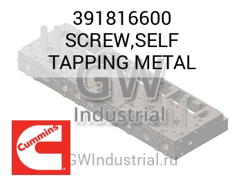 SCREW,SELF TAPPING METAL — 391816600