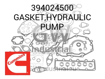 GASKET,HYDRAULIC PUMP — 394024500
