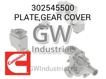 PLATE,GEAR COVER — 302545500