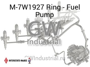 Ring - Fuel Pump — M-7W1927