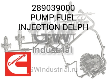 PUMP,FUEL INJECTION DELPH — 289039000