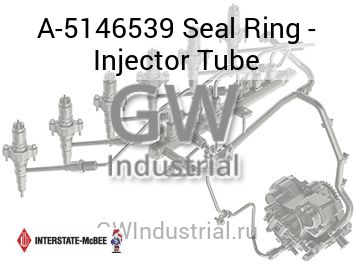 Seal Ring - Injector Tube — A-5146539