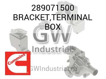 BRACKET,TERMINAL BOX — 289071500