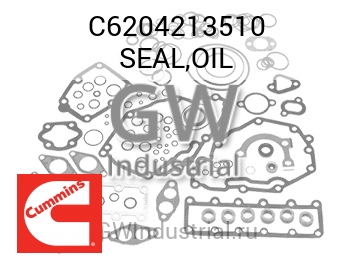 SEAL,OIL — C6204213510