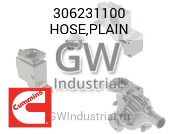 HOSE,PLAIN — 306231100