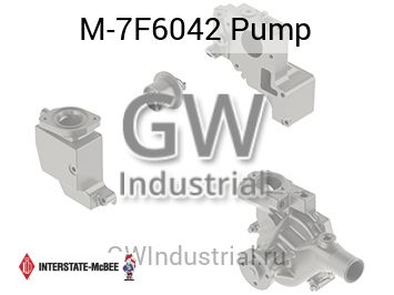 Pump — M-7F6042