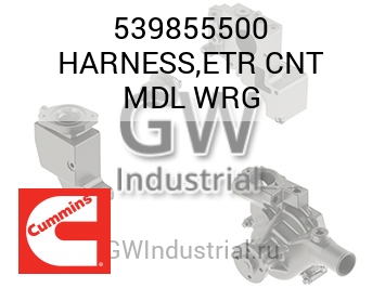 HARNESS,ETR CNT MDL WRG — 539855500