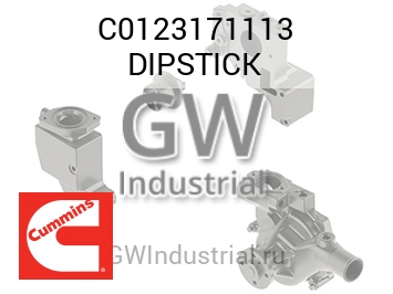 DIPSTICK — C0123171113