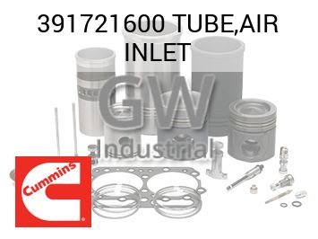 TUBE,AIR INLET — 391721600