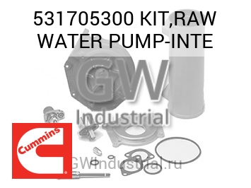 KIT,RAW WATER PUMP-INTE — 531705300