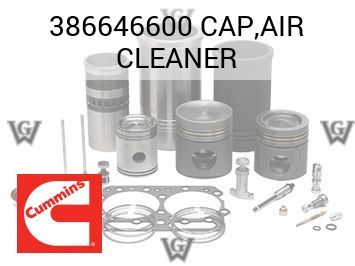 CAP,AIR CLEANER — 386646600