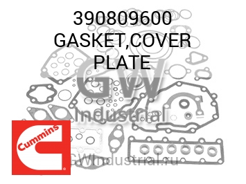 GASKET,COVER PLATE — 390809600