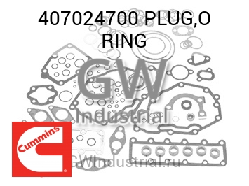 PLUG,O RING — 407024700