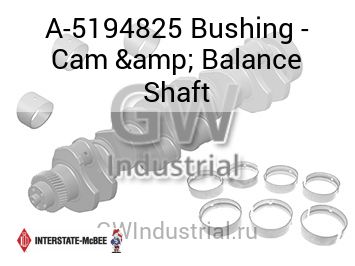 Bushing - Cam & Balance Shaft — A-5194825