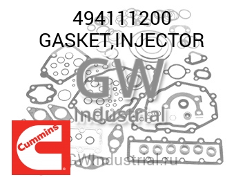 GASKET,INJECTOR — 494111200