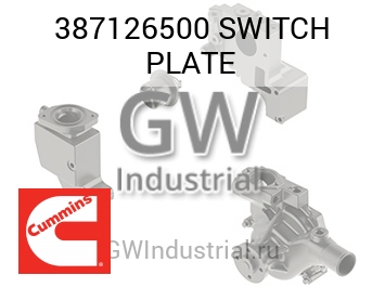 SWITCH PLATE — 387126500
