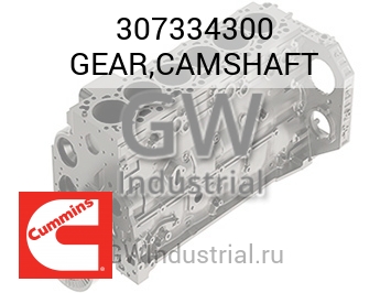 GEAR,CAMSHAFT — 307334300