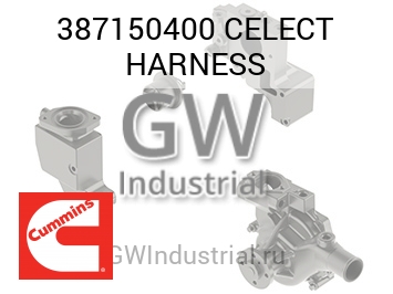 CELECT HARNESS — 387150400