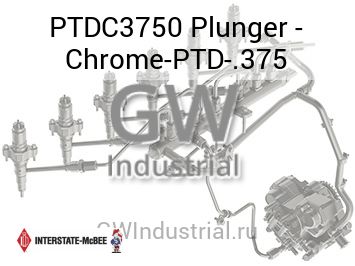Plunger - Chrome-PTD-.375 — PTDC3750