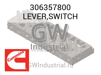 LEVER,SWITCH — 306357800