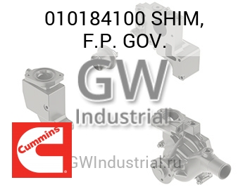 SHIM, F.P. GOV. — 010184100