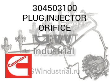 PLUG,INJECTOR ORIFICE — 304503100