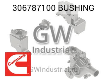 BUSHING — 306787100