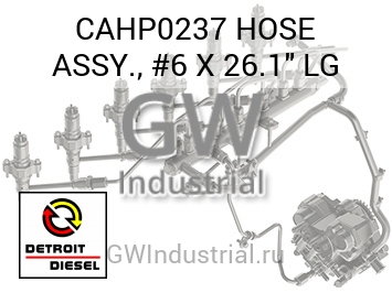 HOSE ASSY., #6 X 26.1