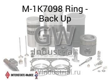 Ring - Back Up — M-1K7098