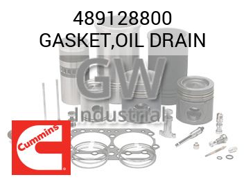 GASKET,OIL DRAIN — 489128800