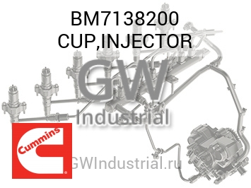 CUP,INJECTOR — BM7138200