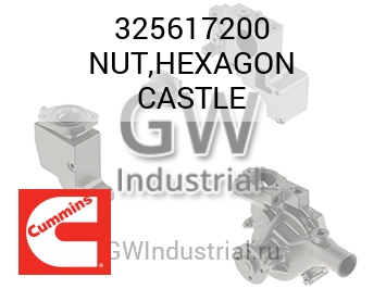 NUT,HEXAGON CASTLE — 325617200