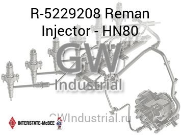 ФОРСУНКА ВОССТАНОВЛЕННАЯ HN80