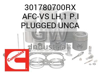 AFC-VS LH,1 P.I PLUGGED UNCA — 301780700RX