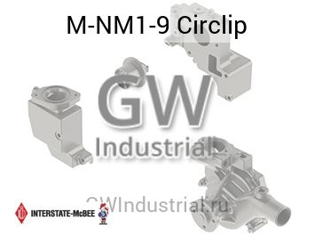 Circlip — M-NM1-9