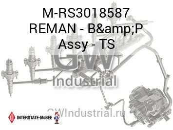 REMAN - B&P Assy - TS — M-RS3018587