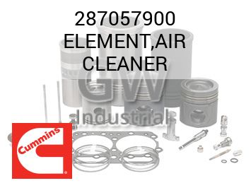 ELEMENT,AIR CLEANER — 287057900