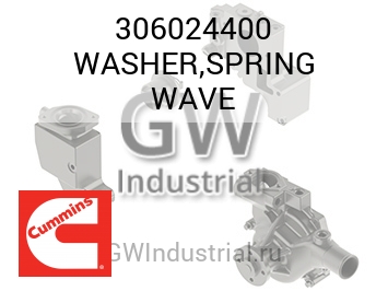 WASHER,SPRING WAVE — 306024400