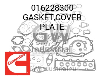 GASKET,COVER PLATE — 016228300
