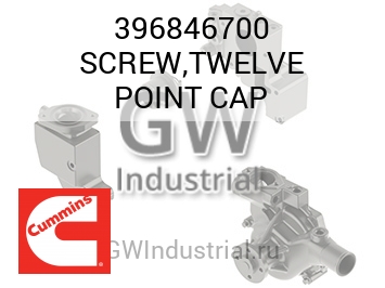 SCREW,TWELVE POINT CAP — 396846700