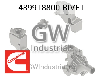 RIVET — 489918800